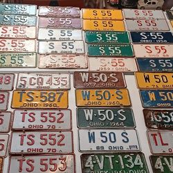 Massive Vintage Plate Collection