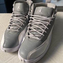 Jordan 12 Retro “Stealth” SIZE 10‼️