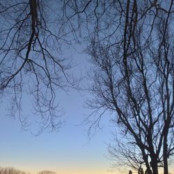 Iso the following items