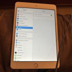 iPad Mini