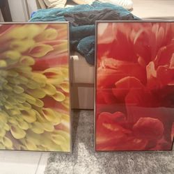 Flower Paintings