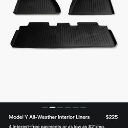 2022-2024 TESLA Model Y OEM All Weather Floor Liner