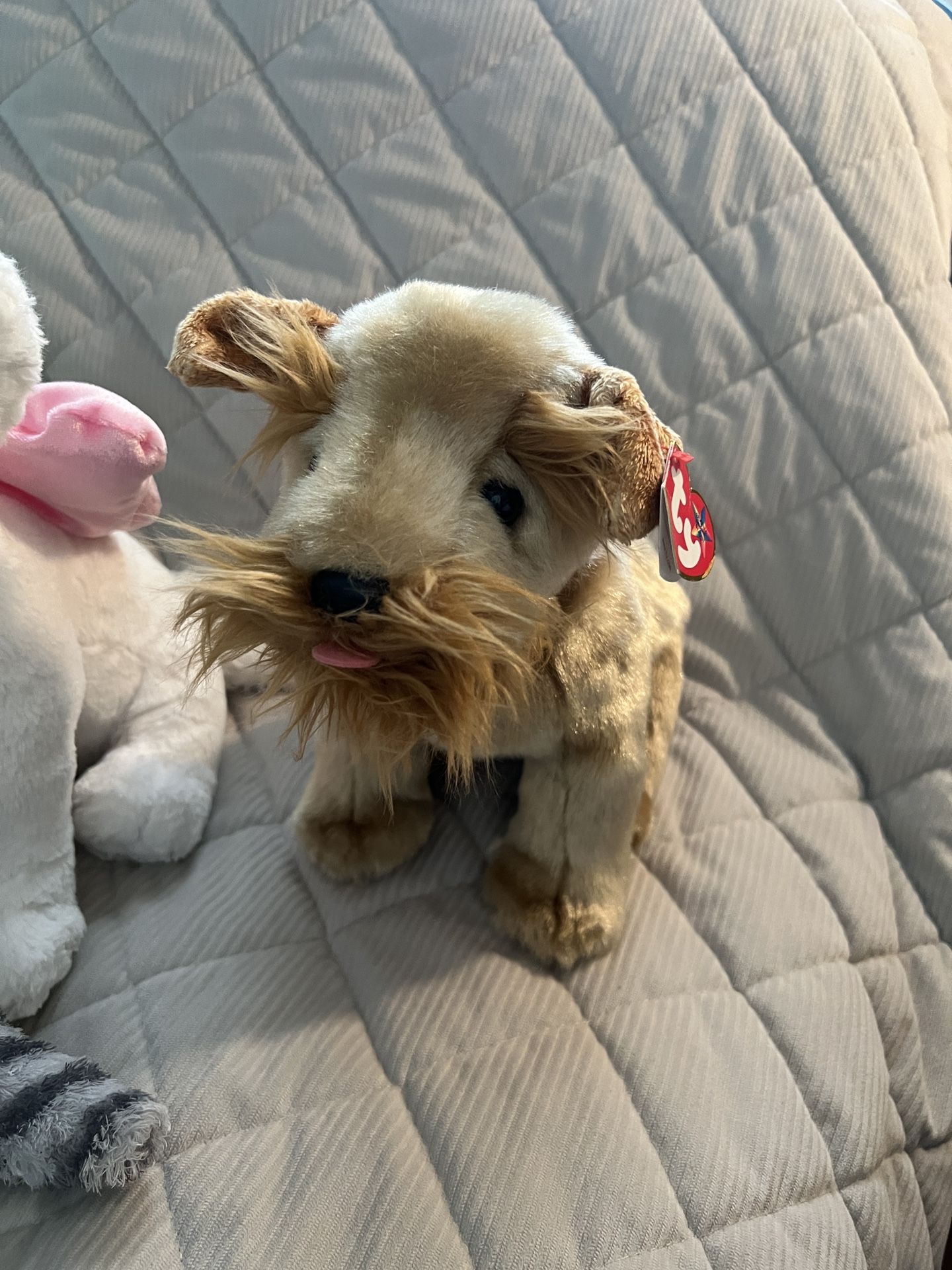 Schnauzer Plush Dog Buddy
