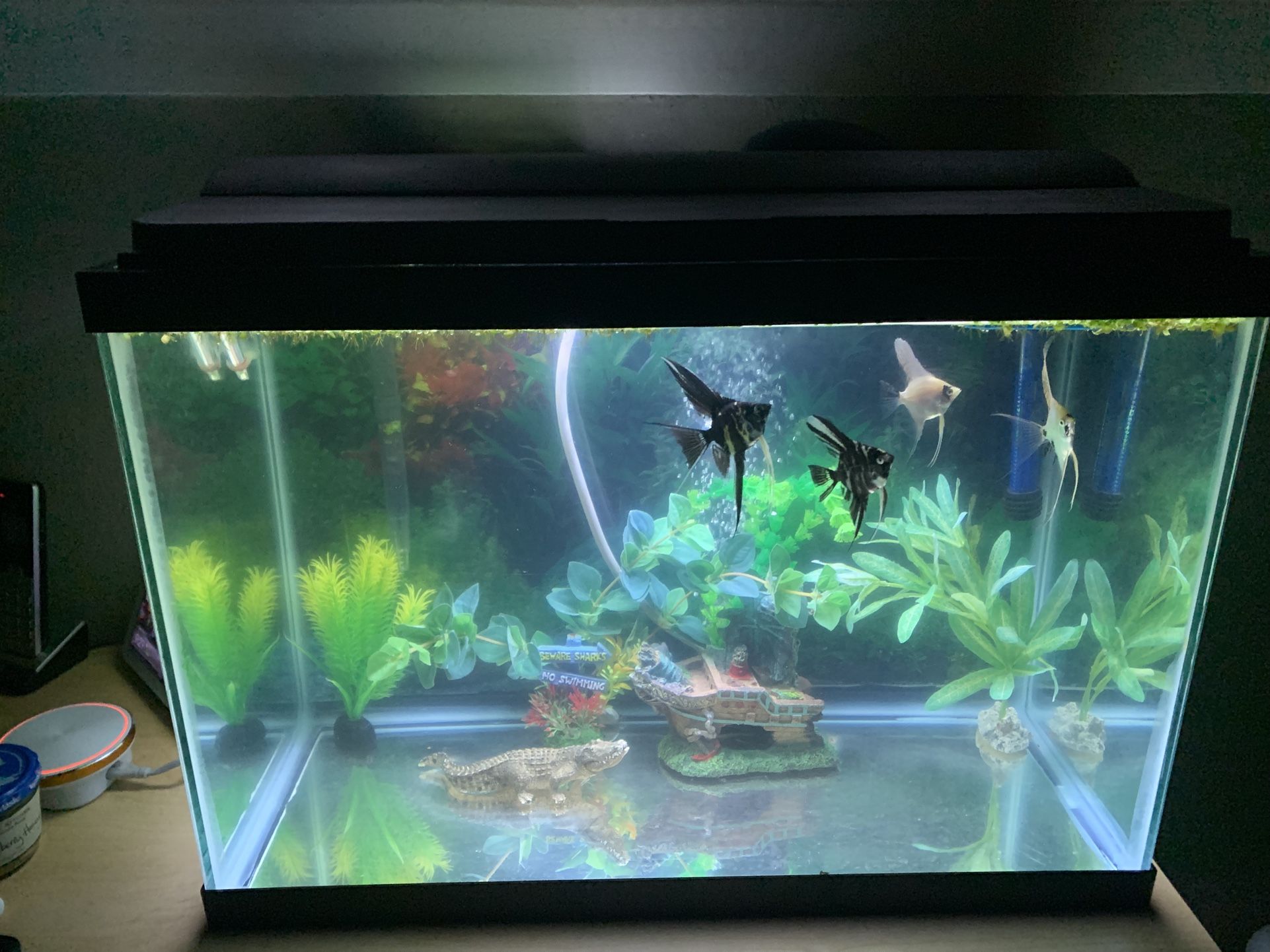 Fish tank