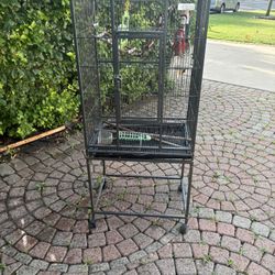 Bird Cage