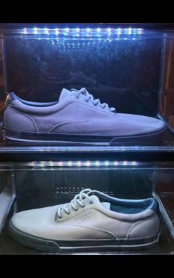 Size 10.5 Tommy Hilfiger Canvas Low-Top Sneakers