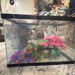 20 Gallon Glass Aquarium