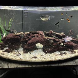 Aquarium Lava Rock Decor