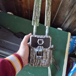 Cellular Trail Camera