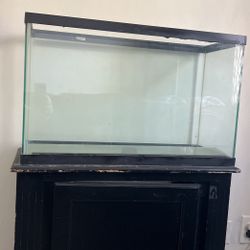 FISH TANK FOR SALE