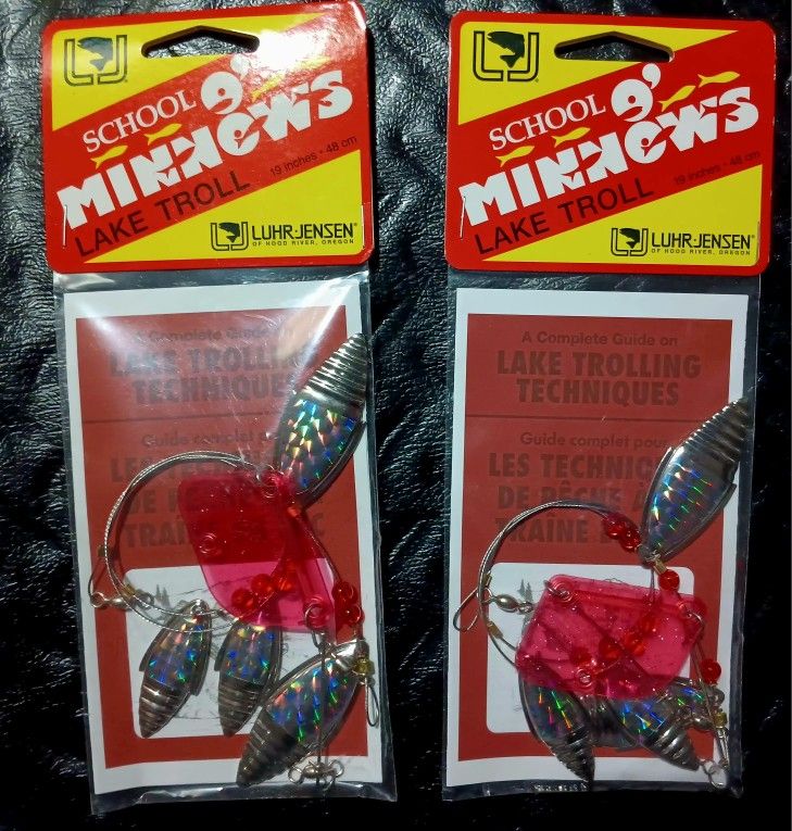 School O' Minnows