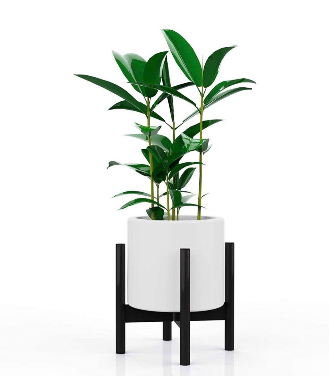 Plant pot holder ( Plant not Included ) 
