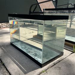 5 Gallon Fish Tank