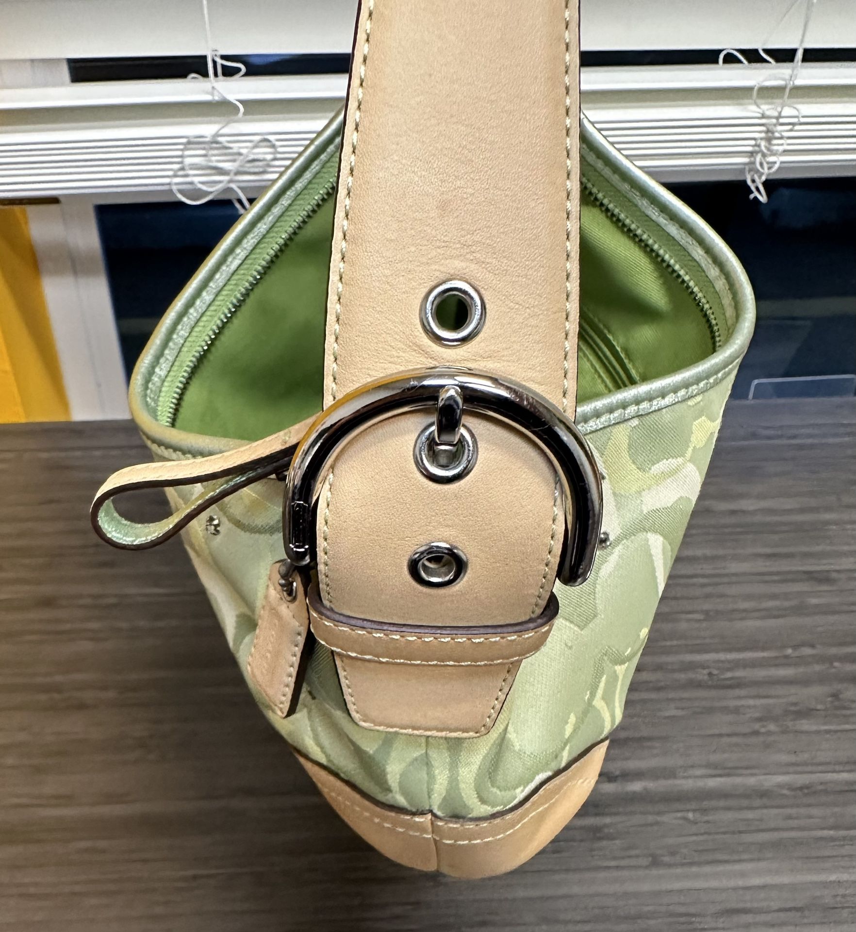 Coach Ltd Ed Green Signature C Optic Hobo Ladybug Bag Purse