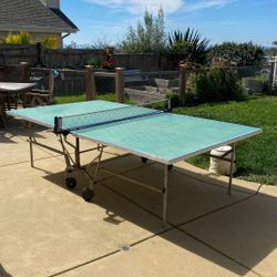 Ping Pong Table