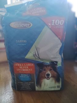 Extra Large Super Absorbent Training Pads