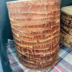 Palm Tree Stumps 