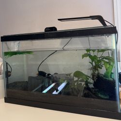 10 Gallon Fish tank With Lid