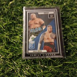 Solo And Rikishi Card