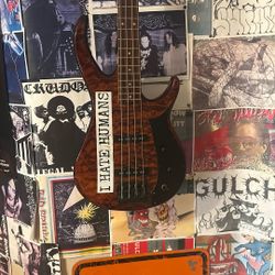 Peavy Millennium Bass 