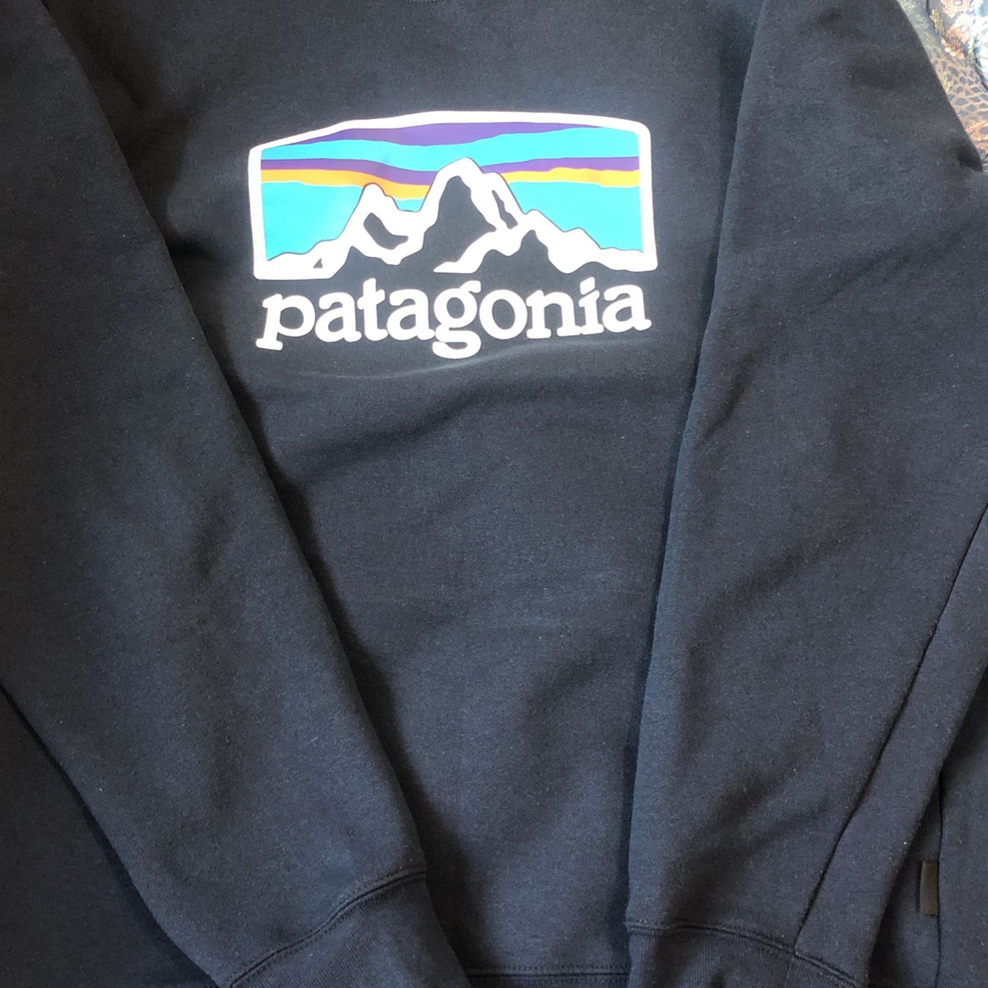 Patagonia Sweater