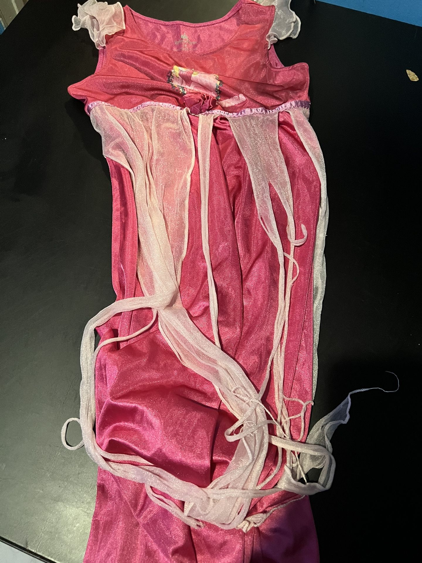 Disney Park Nightgown Size 10