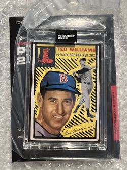 Ted Williams Project 2020 Joshua Vides