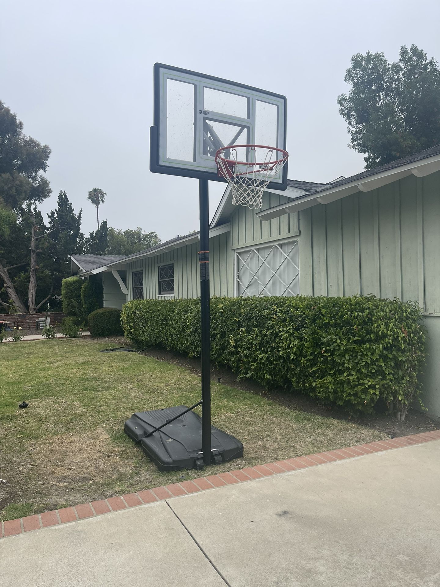 Lifetime Basketball Hoop