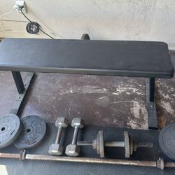 Workout Bench And Weights 