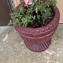 Concrete Plant Pot Decorative Ornament