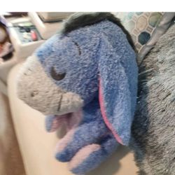 Weighted Disney EEYORE