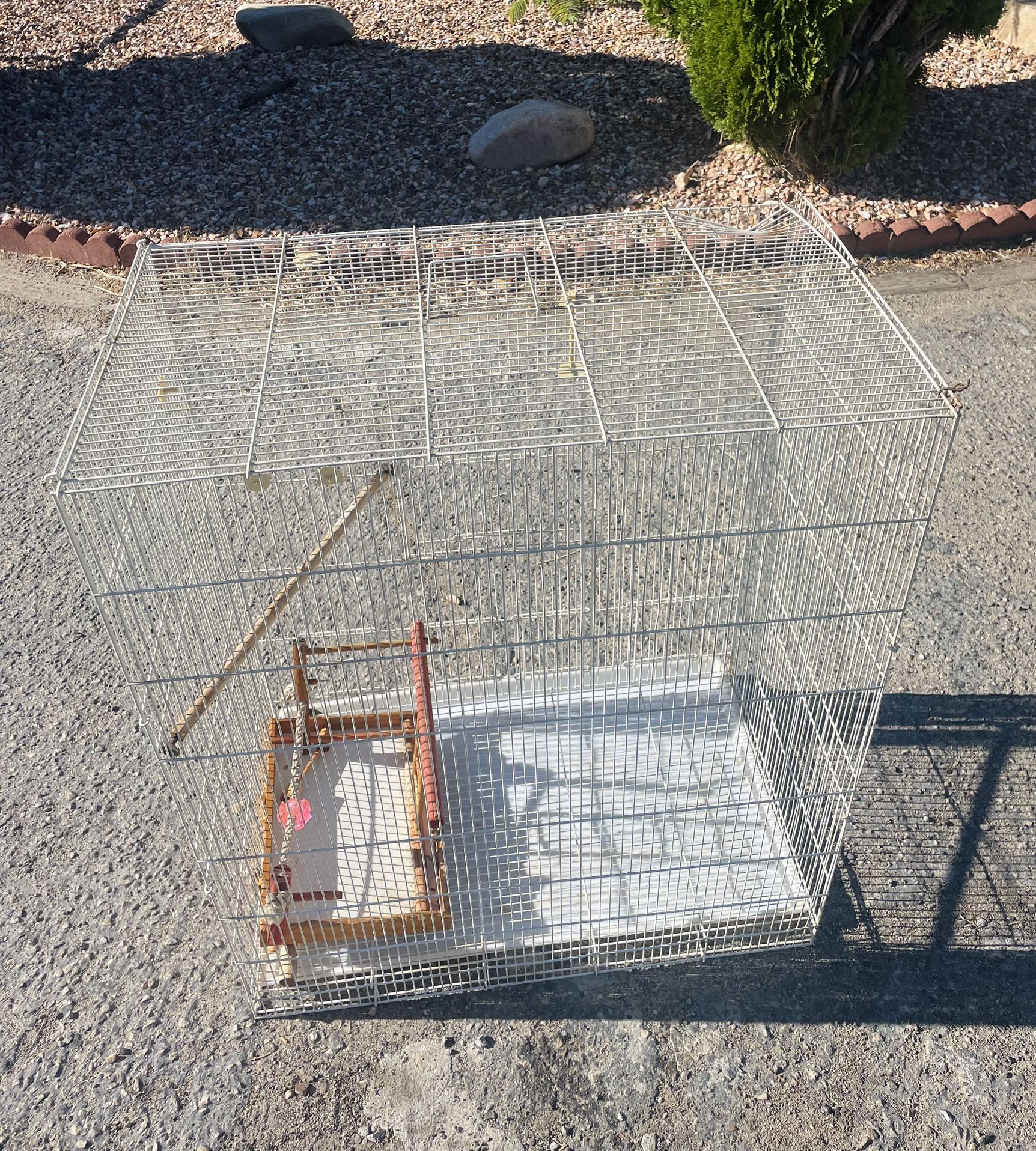 Big Bird Cage