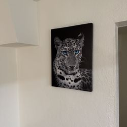 Free items for pick up