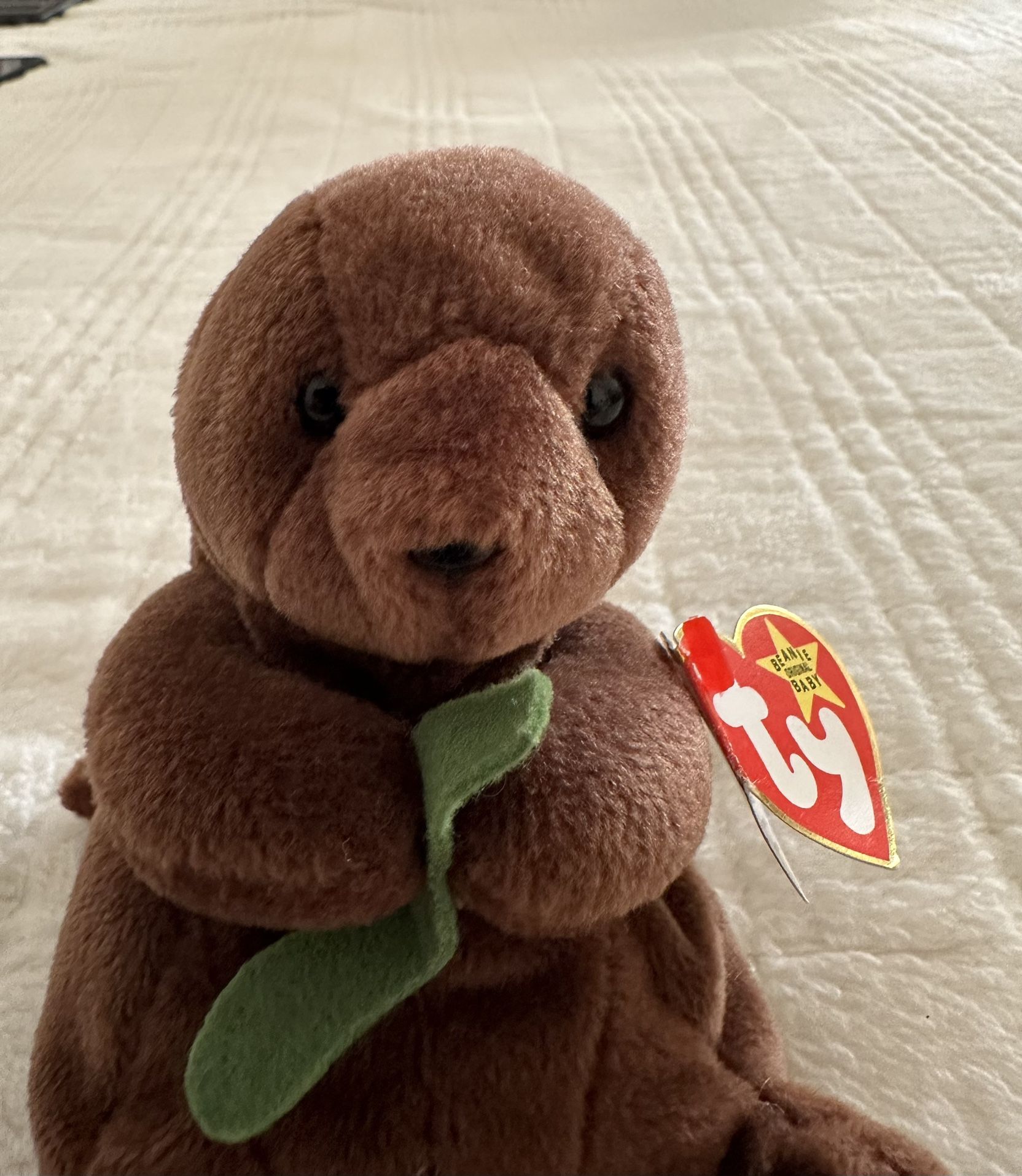 Seaweed Beanie Baby (errors)