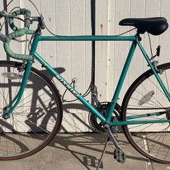 Missing Stolen Bike Vintage Schwinn Nishiki Sport Series Century Bicycle Was Stolen (NOT FOR SALE)