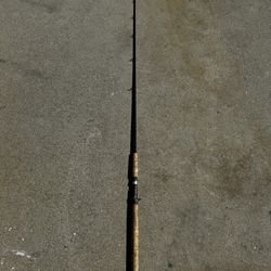 Inshore Classic Laniglas fishing rod