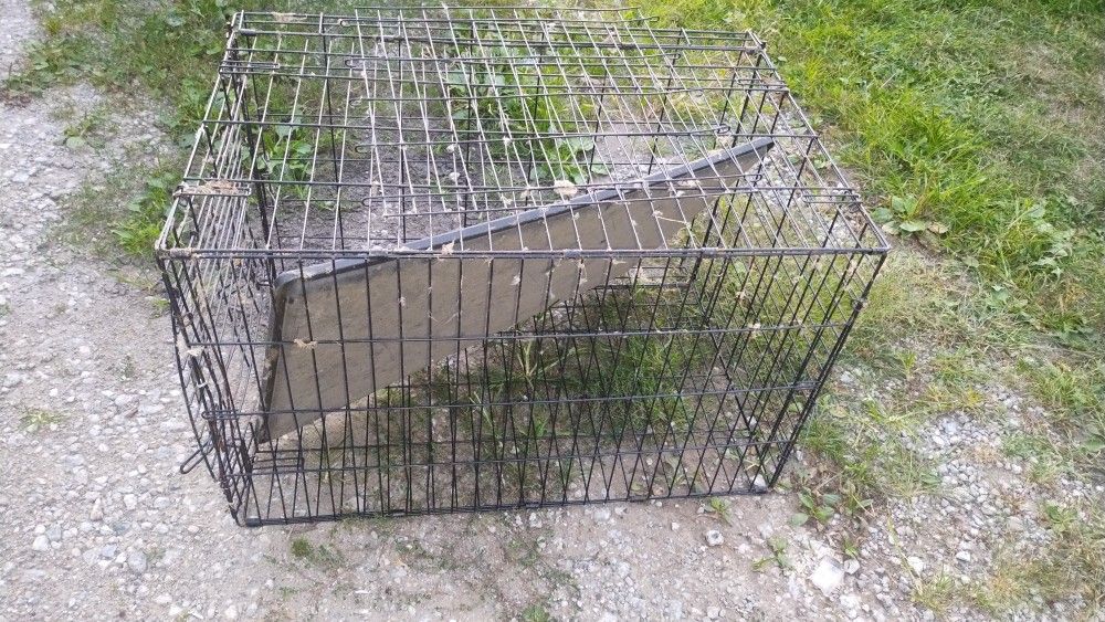 Dog Cage