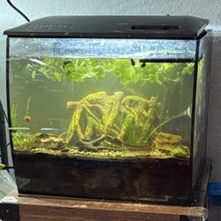 Fluval Flex 9 Fish Tank Aquarium Complete Setup