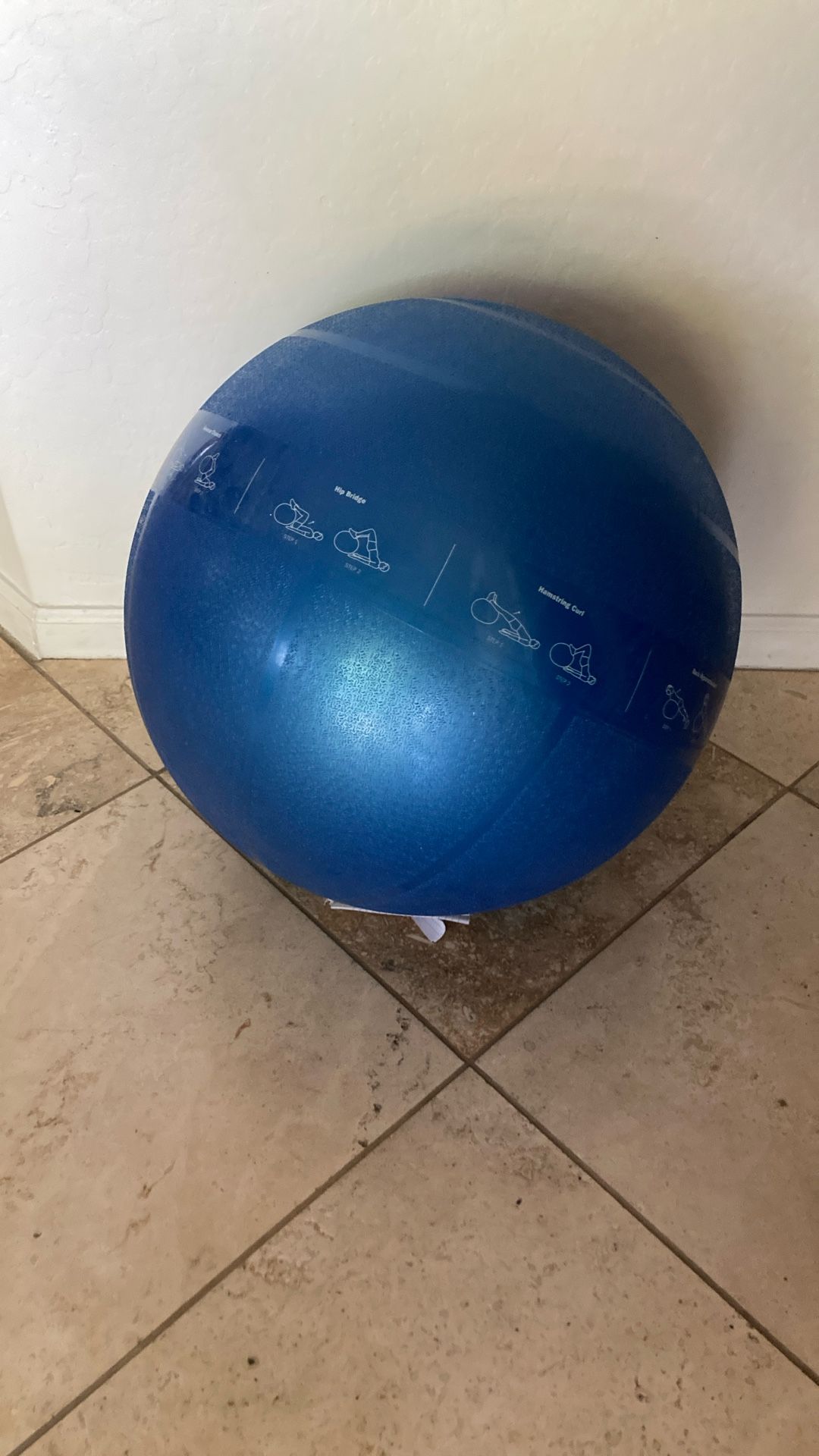 Exercise Ball