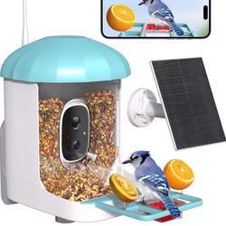 Bird Feeder with Camera, Smart Bird Feeder with Camera 1 Year Trial AI Identify Birds Species with 3W Solar Panel HD Live Video Birds House with Cam 2