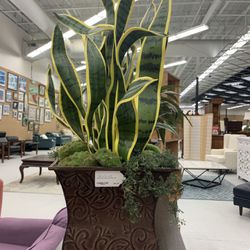 Med Faux Potted Plant 