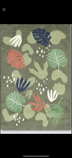 Dinosaur Rug 4’x6’