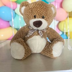 New Stuffed Teddy Bear