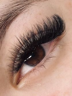 Lashes Extensions