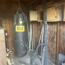 Everlast Punching Bag With Golds Gym Base