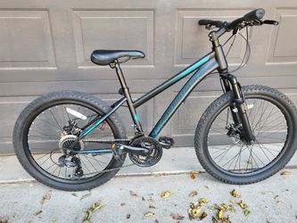 24-in Schwinn Disc Brake