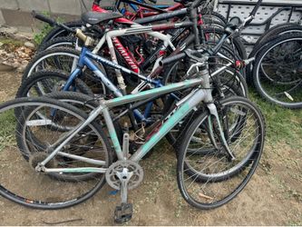 12 bikes for 100