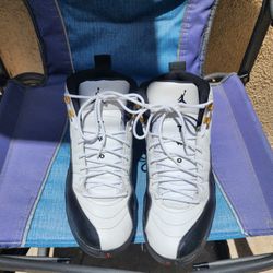 Air Jordan 12 Taxi Size 12