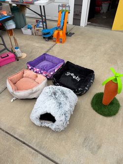 Cat beds and scratch post