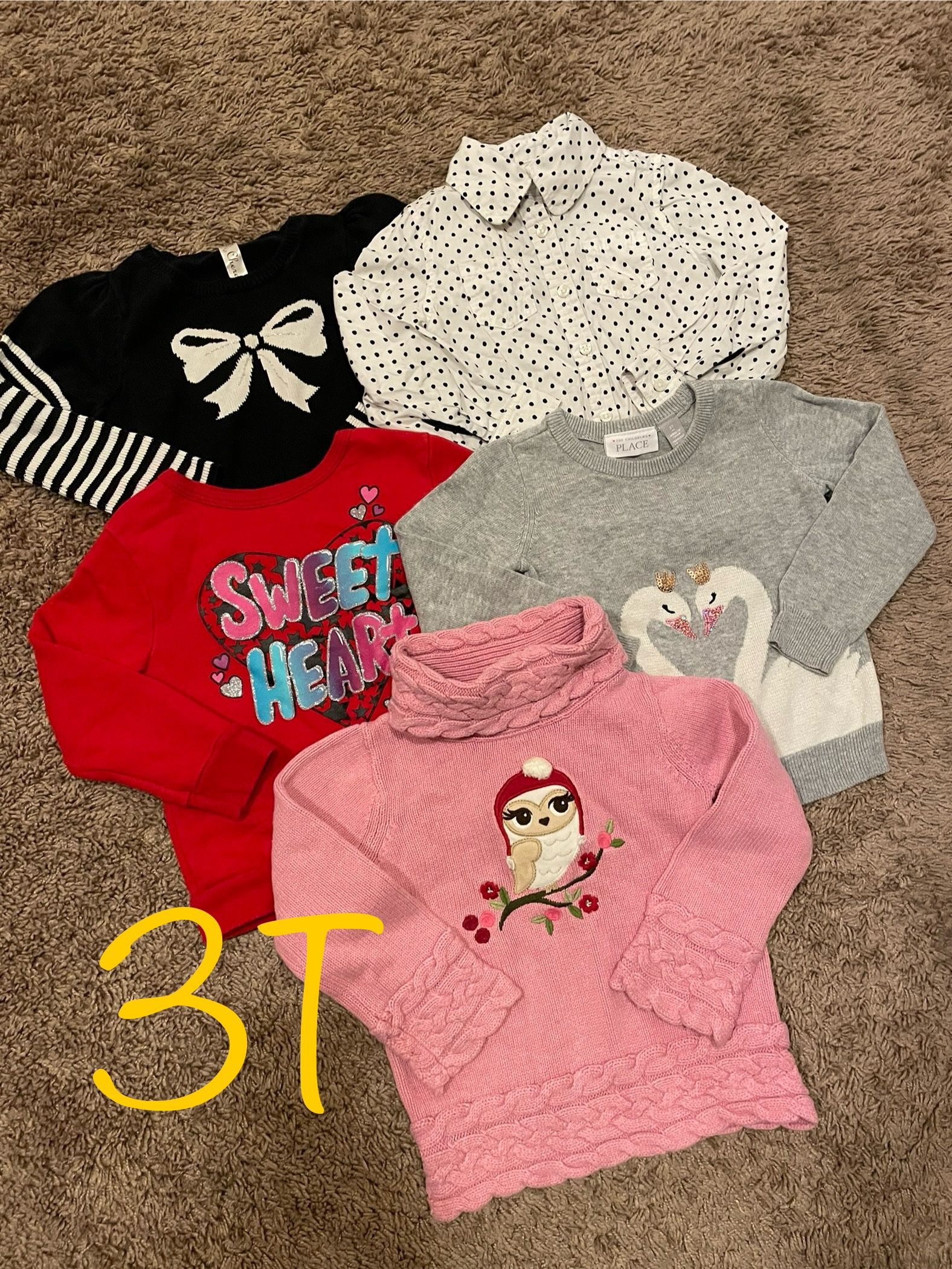 Winter/fall Girl Clothes, Long Sleeves Shirts Size 3T